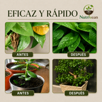Activador y mejorador de suelo para plantas más sanas y hermosas