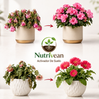 Activador y mejorador de suelo para plantas más sanas y hermosas