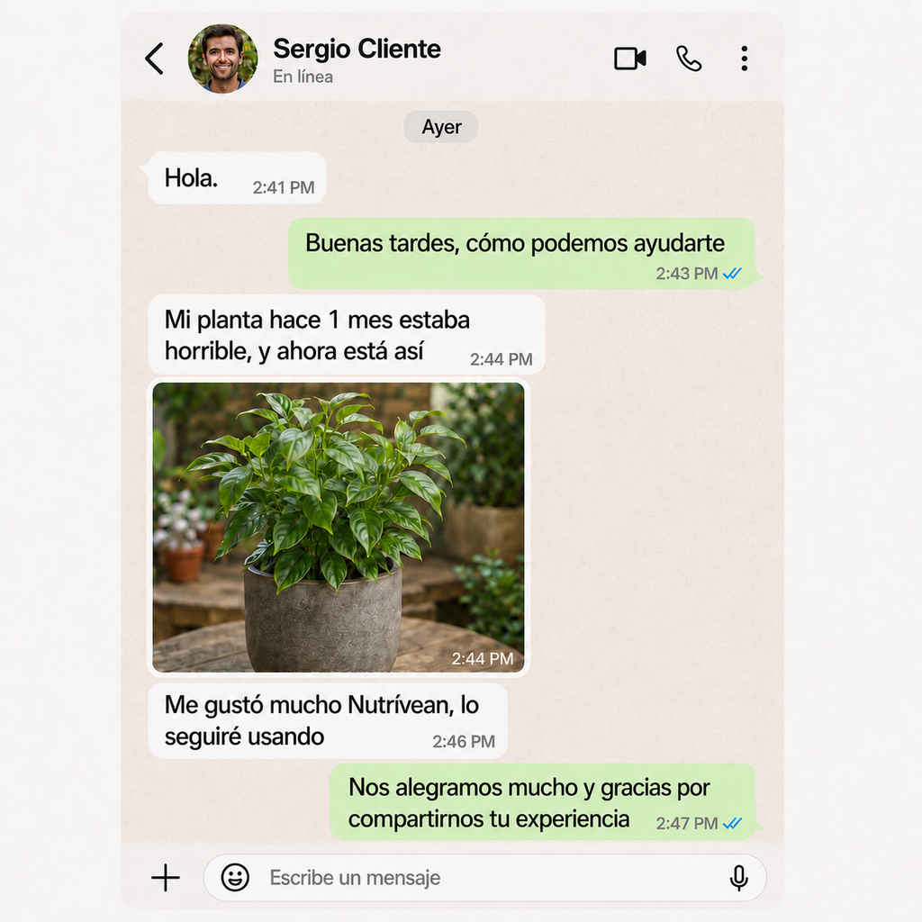 Activador y mejorador de suelo para plantas más sanas y hermosas
