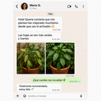 Activador y mejorador de suelo para plantas más sanas y hermosas