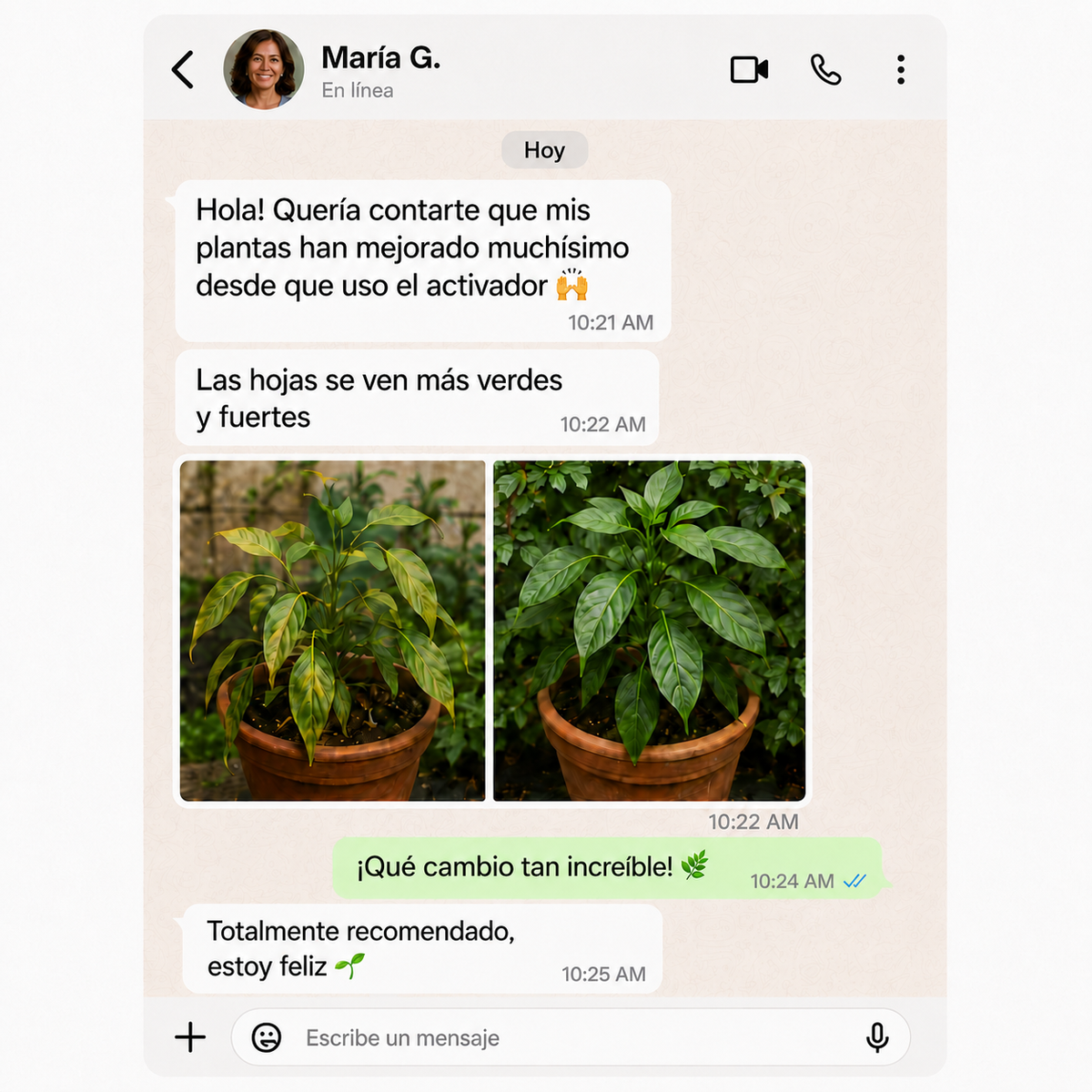 Activador y mejorador de suelo para plantas más sanas y hermosas