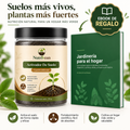 Activador y mejorador de suelo para plantas más sanas y hermosas