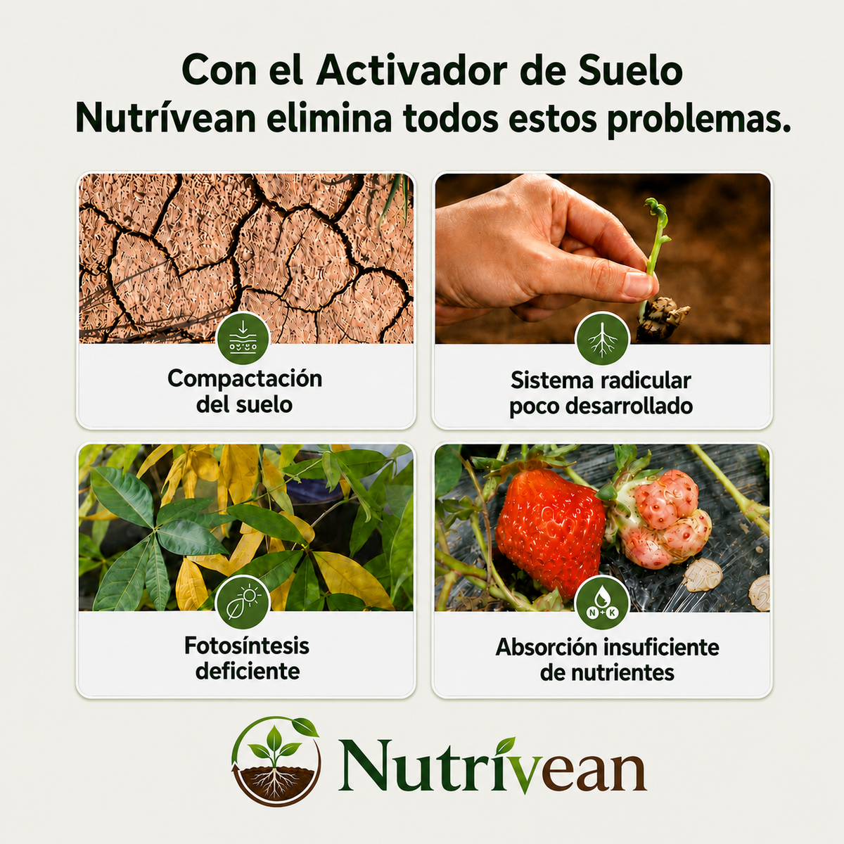 Regás, regás… y la planta sigue igual